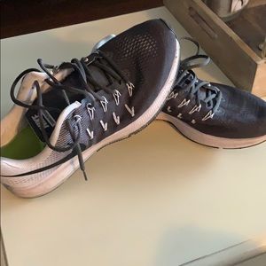 Nike Zoom Pegasus 33